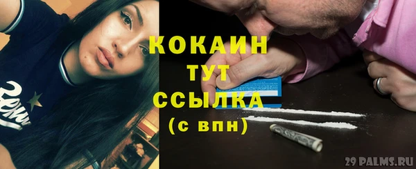 дмт Лиски