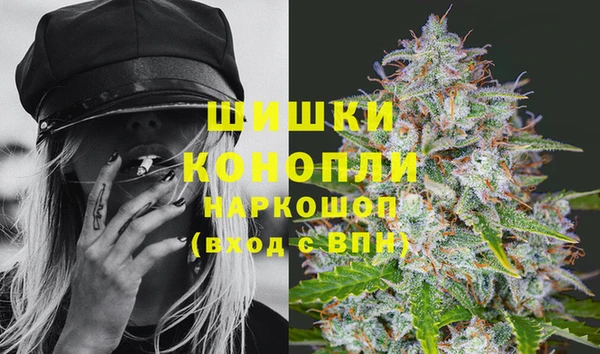 МДПВ Липки